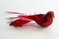 Veren vogel rood glitter